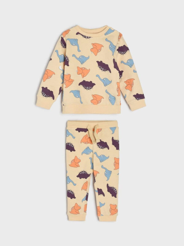 Sweatshirt and Jogger Set
